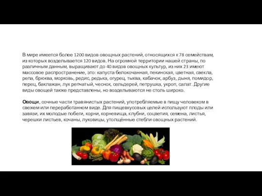 В мире имеется более 1200 видов овощных растений, относящихся к 78 семействам, из