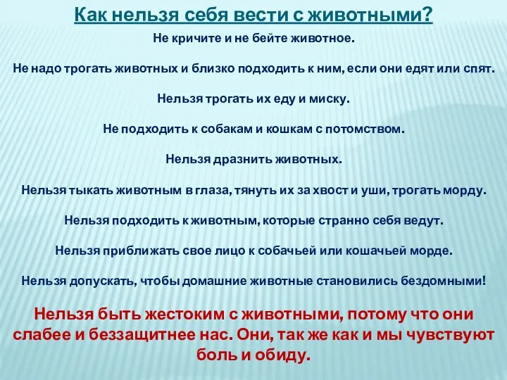 Как нельзя себя вести с животными? Не кричите и не