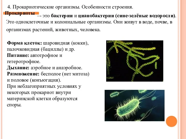–- это бактерии и цианобактерии (сине-зелёные водоросли). Это одноклеточные и колониальные организмы. Они