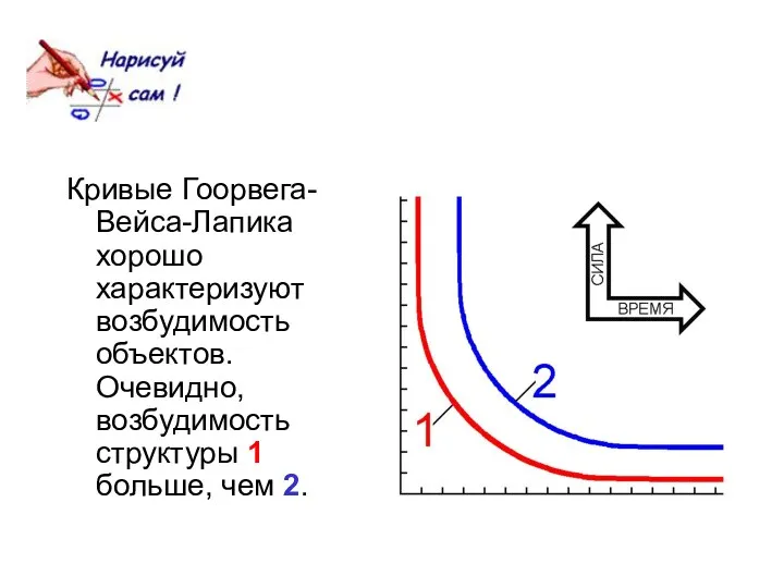 Кривые Гоорвега-Вейса-Лапика хорошо характеризуют возбудимость объектов. Очевидно, возбудимость структуры 1 больше, чем 2.