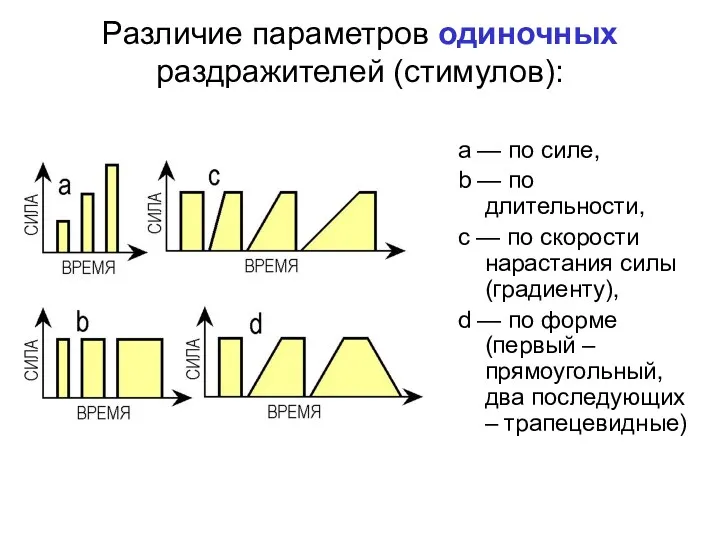 Различие параметров одиночных раздражителей (стимулов): а — по силе, b