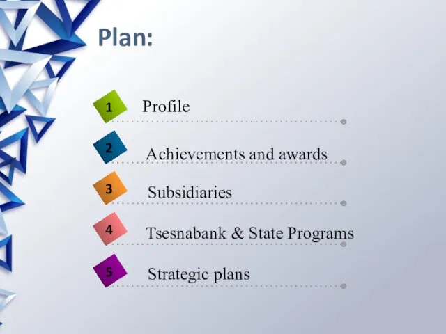 Plan: Achievements and awards Subsidiaries Tsesnabank & State Programs Strategic plans