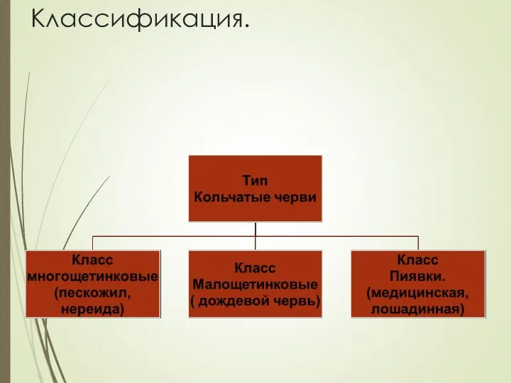 Классификация.