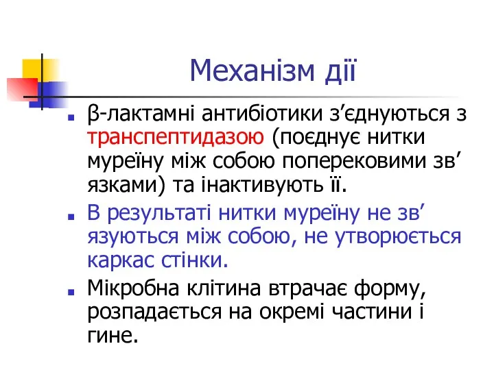 Механізм дії β-лактамні антибіотики з’єднуються з транспептидазою (поєднує нитки муреїну