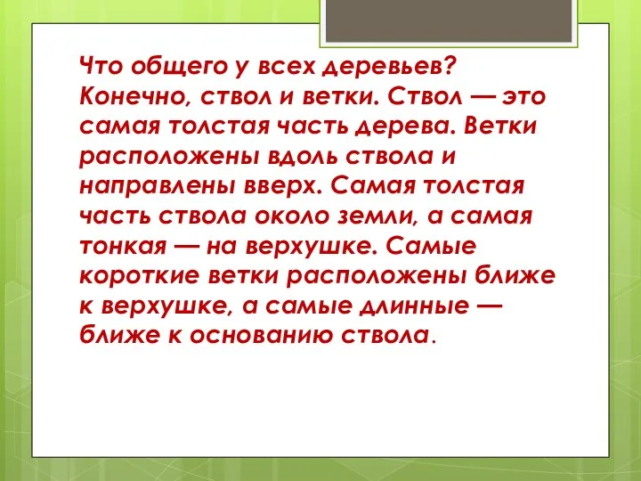 Что общего у всех деревьев? Конечно, ствол и ветки. Ствол