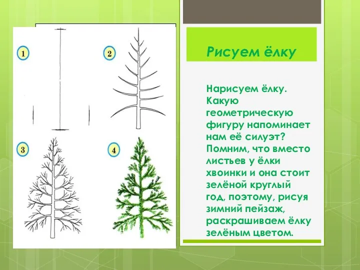 Рисуем ёлку Нарисуем ёлку. Какую геометрическую фигуру напоминает нам её