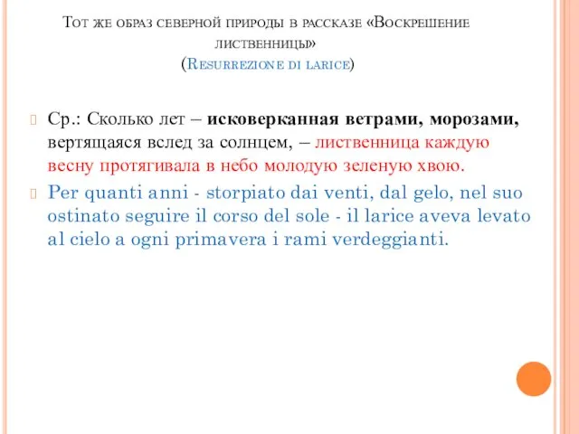 Тот же образ северной природы в рассказе «Воскрешение лиственницы» (Resurrezione