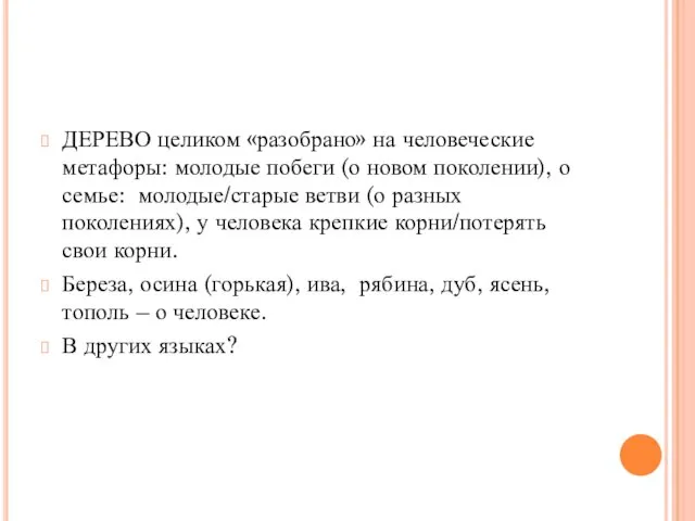 ДЕРЕВО целиком «разобрано» на человеческие метафоры: молодые побеги (о новом