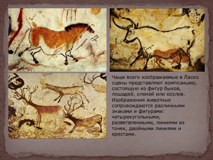 Чаще всего изображаемые в Ласко сцены представляют композицию, состоящую из фигур быков, лошадей,
