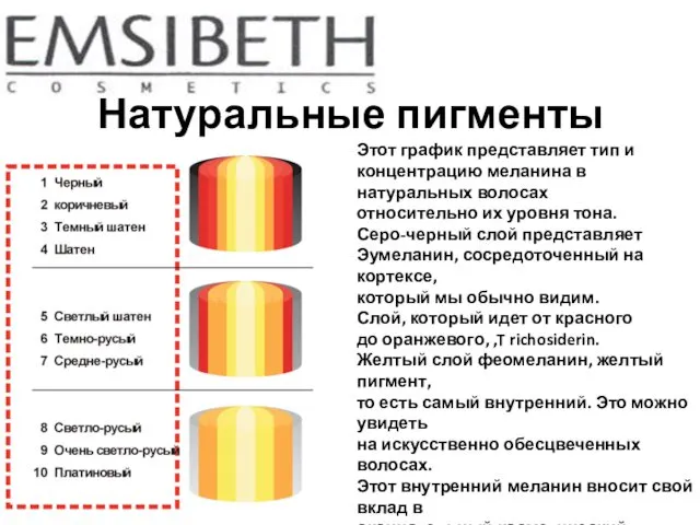 Натуральные пигменты Этот график представляет тип и концентрацию меланина в