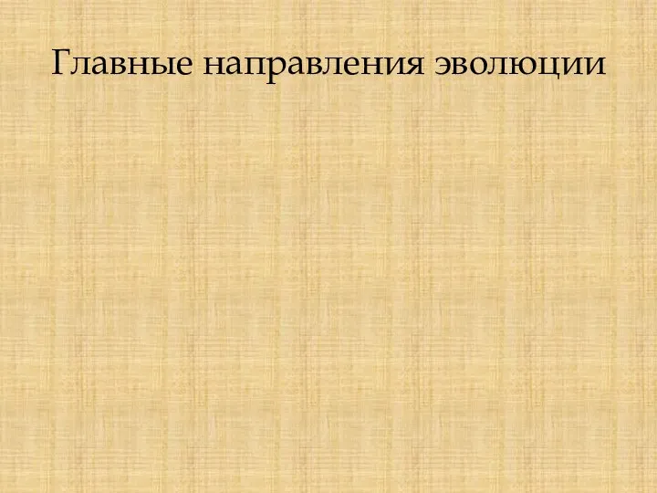 Главные направления эволюции