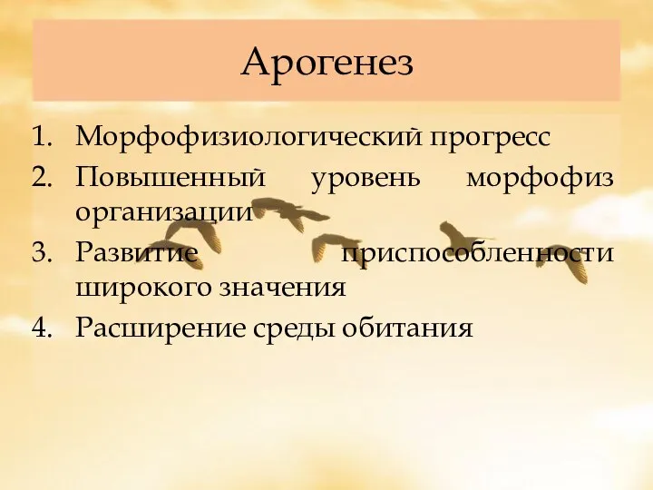 Арогенез Морфофизиологический прогресс Повышенный уровень морфофиз организации Развитие приспособленности широкого значения Расширение среды обитания