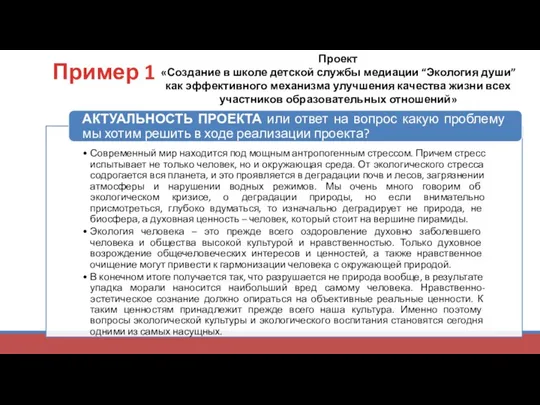 Пример 1 Проект «Создание в школе детской службы медиации “Экология