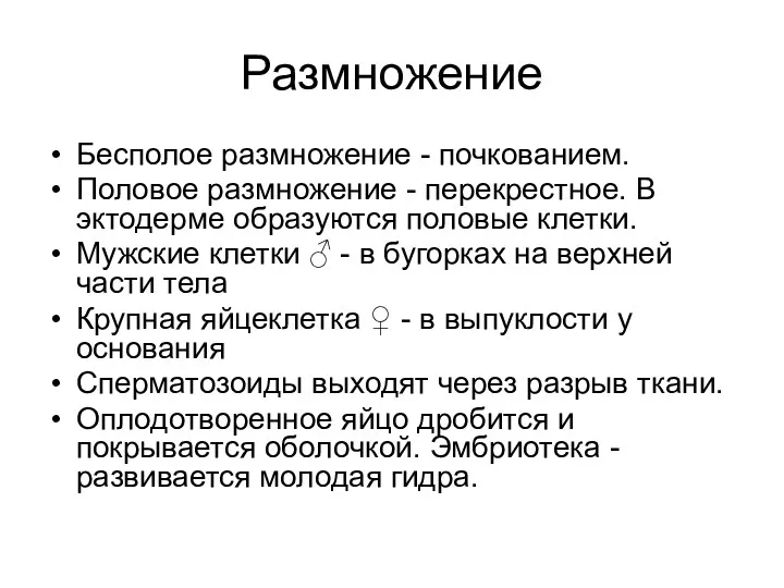 Размножение Бесполое размножение - почкованием. Половое размножение - перекрестное. В