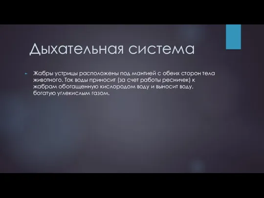 Дыхательная система Жабры устрицы расположены под мантией с обеих сторон