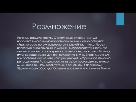 Размножение Устрицы раздельнополы. С током воды сперматозоиды попадают в мантийную