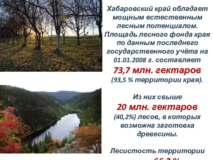 Хабаровский край обладает мощным естественным лесным потенциалом. Площадь лесного фонда