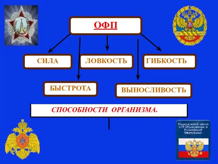 ОФП СИЛА ЛОВКОСТЬ БЫСТРОТА ВЫНОСЛИВОСТЬ ГИБКОСТЬ СПОСОБНОСТИ ОРГАНИЗМА.