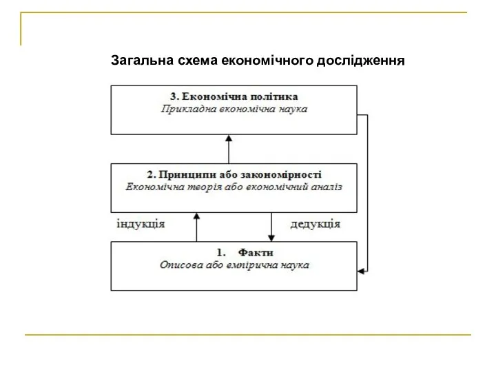 Загальна схема економічного дослідження