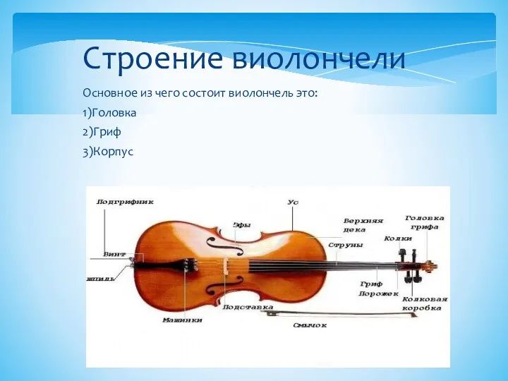 Основное из чего состоит виолончель это: 1)Головка 2)Гриф 3)Корпус Строение виолончели