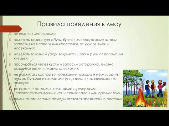 Правила поведения в лесу не ходить в лес одному; надевать