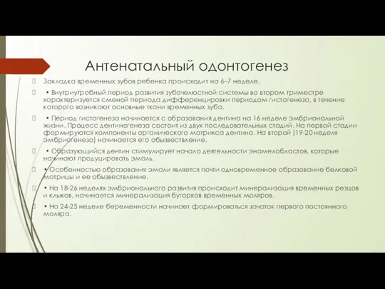 Антенатальный одонтогенез Закладка временных зубов ребенка происходит на 6–7 неделе.