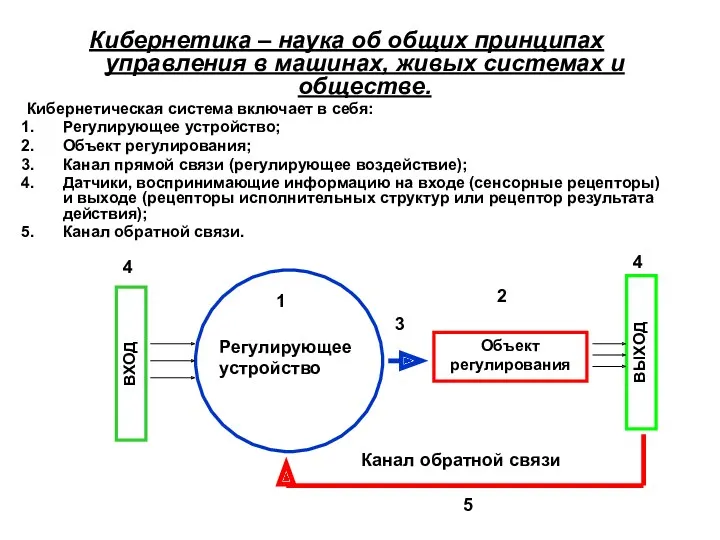 Кибернетика – наука об общих принципах управления в машинах, живых