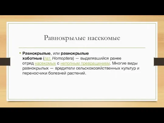 Равнокрылые насекомые Равнокрылые, или равнокрылые хоботные (лат. Homoptera) — выделявшийся