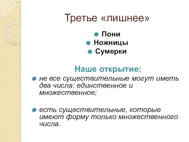 Третье «лишнее» Пони Ножницы Сумерки Наше открытие: не все существительные