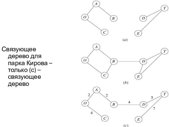 Связующее дерево для парка Кирова – только (с) – связующее дерево