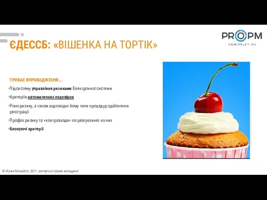 ЄДЕССБ: «ВІШЕНКА НА ТОРТІК» ТРИВАЄ ВПРОВАДЖЕННЯ…. Підсистему управління ризиками Електронної