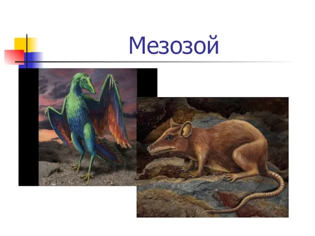 Мезозой