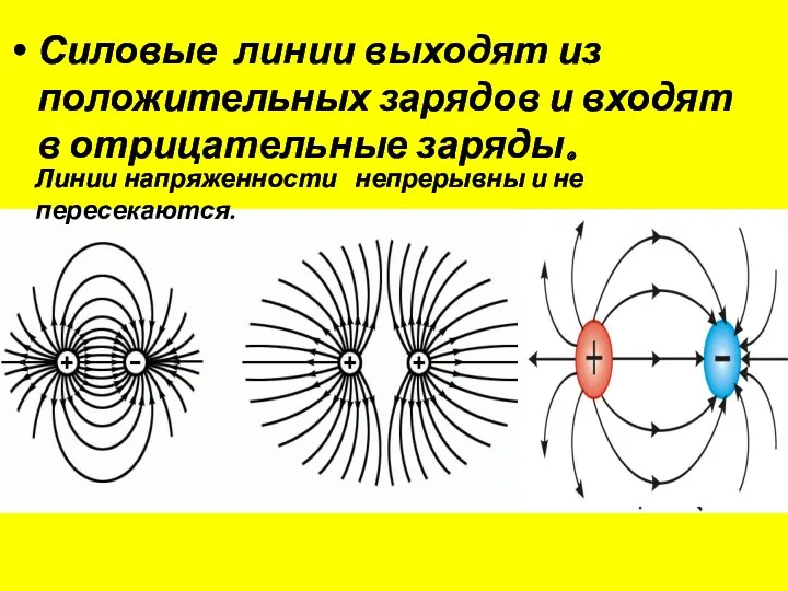 Силовые линии выходят из положительных зарядов и входят в отрицательные