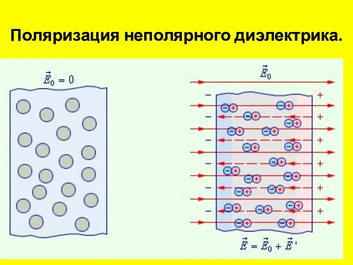 Поляризация неполярного диэлектрика.