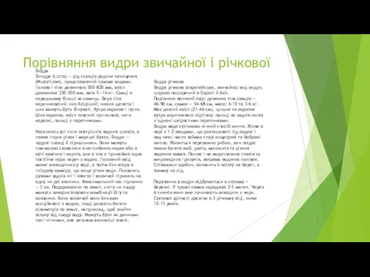 Порівняння видри звичайної і річкової Видра річкова Видра річкова (європейська,