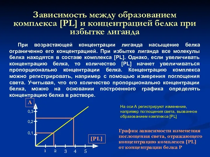 Зависимость между образованием комплекса [PL] и концентрацией белка при избытке