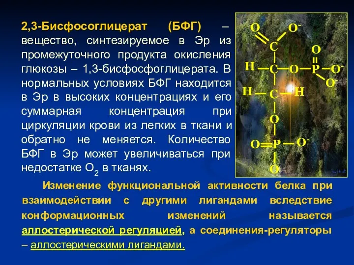 2,3-Бисфосоглицерат (БФГ) – вещество, синтезируемое в Эр из промежуточного продукта