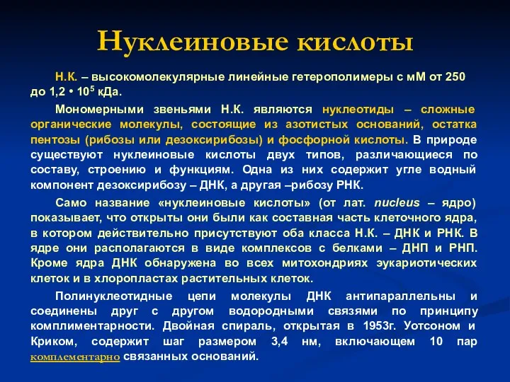 Нуклеиновые кислоты Н.К. – высокомолекулярные линейные гетерополимеры с мМ от