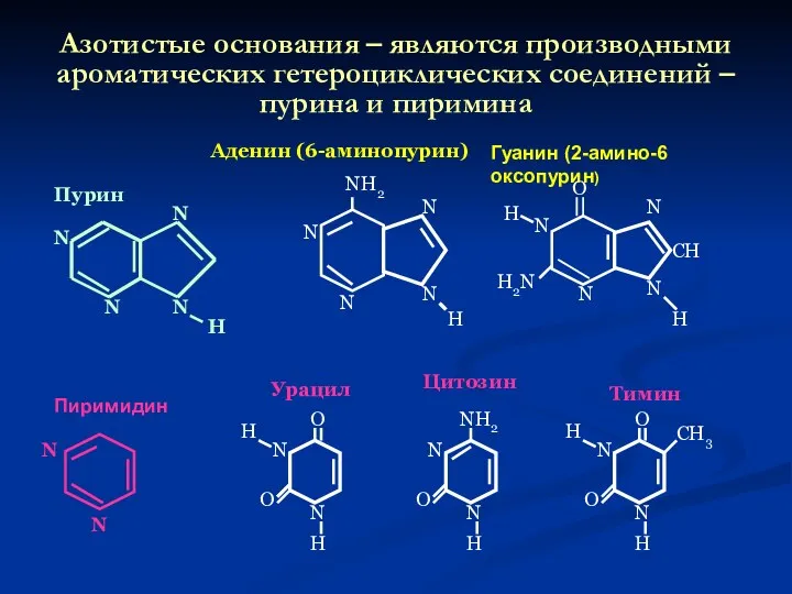 Азотистые основания – являются производными ароматических гетероциклических соединений – пурина
