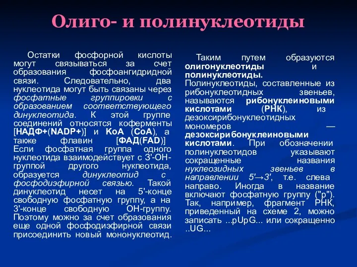 Олиго- и полинуклеотиды Остатки фосфорной кислоты могут связываться за счет