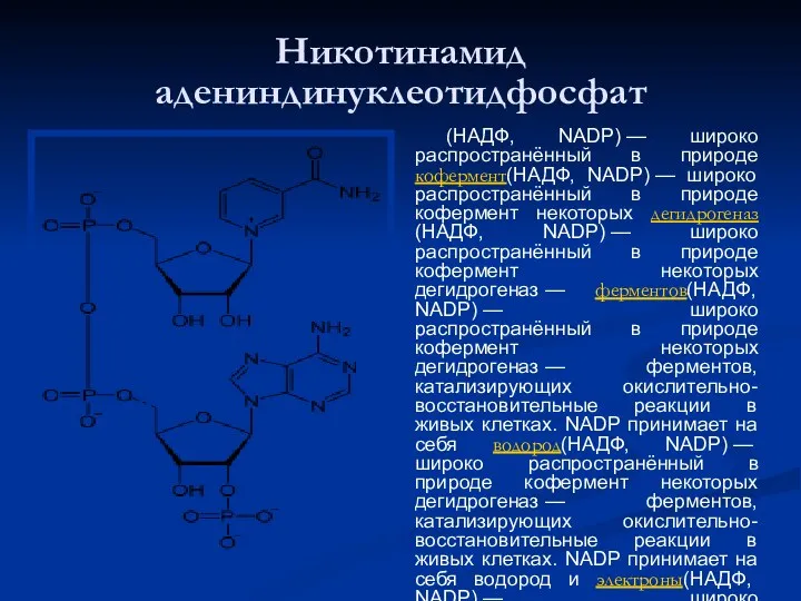 Никотинамид адениндинуклеотидфосфат (НАДФ, NADP) — широко распространённый в природе кофермент(НАДФ,