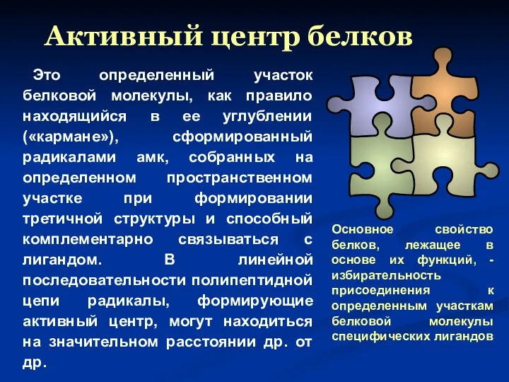 Активный центр белков Это определенный участок белковой молекулы, как правило