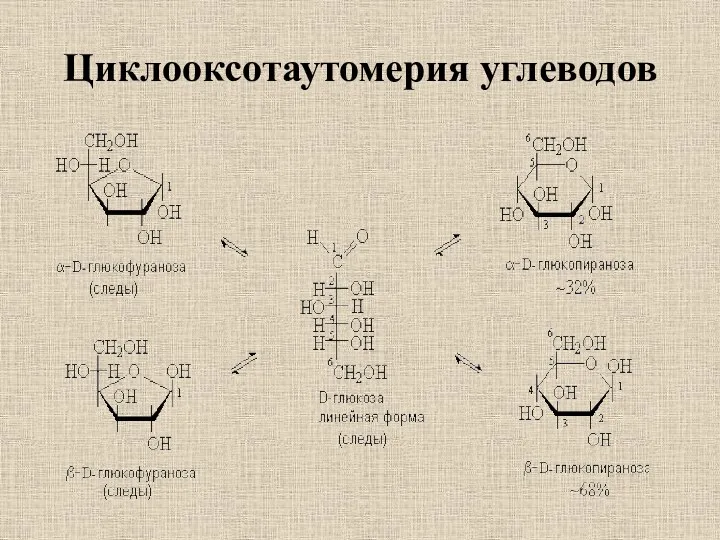 Циклооксотаутомерия углеводов