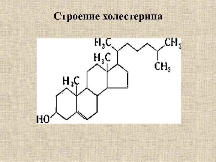 Строение холестерина