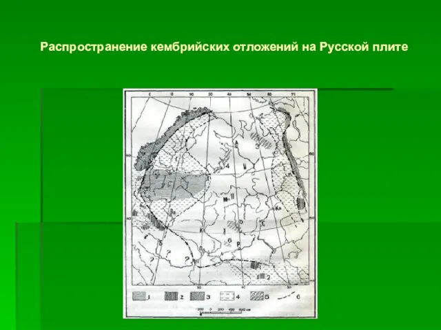 Распространение кембрийских отложений на Русской плите