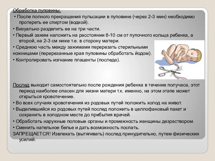 Обработка пуповины. • После полного прекращения пульсации в пуповине (через