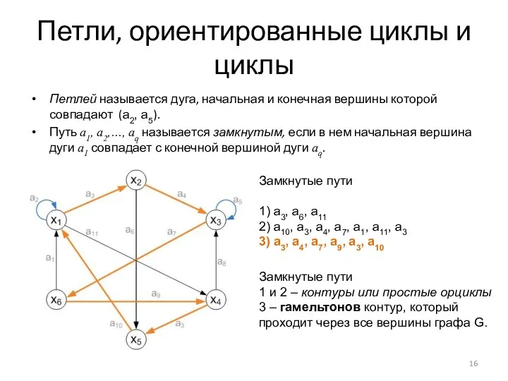 Петли, ориентированные циклы и циклы Петлей называется дуга, начальная и