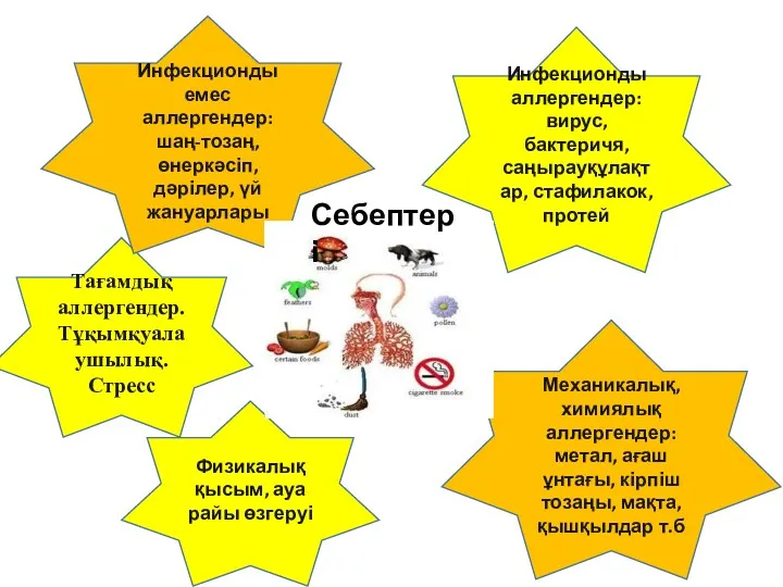 Себептері Инфекционды аллергендер: вирус, бактеричя, саңырауқұлақтар, стафилакок, протей Механикалық, химиялық