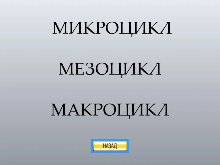 МИКРОЦИКЛ МЕЗОЦИКЛ МАКРОЦИКЛ