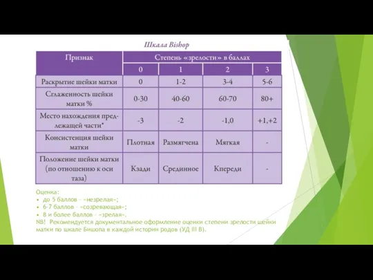 Оценка: • до 5 баллов – «незрелая»; • 6-7 баллов